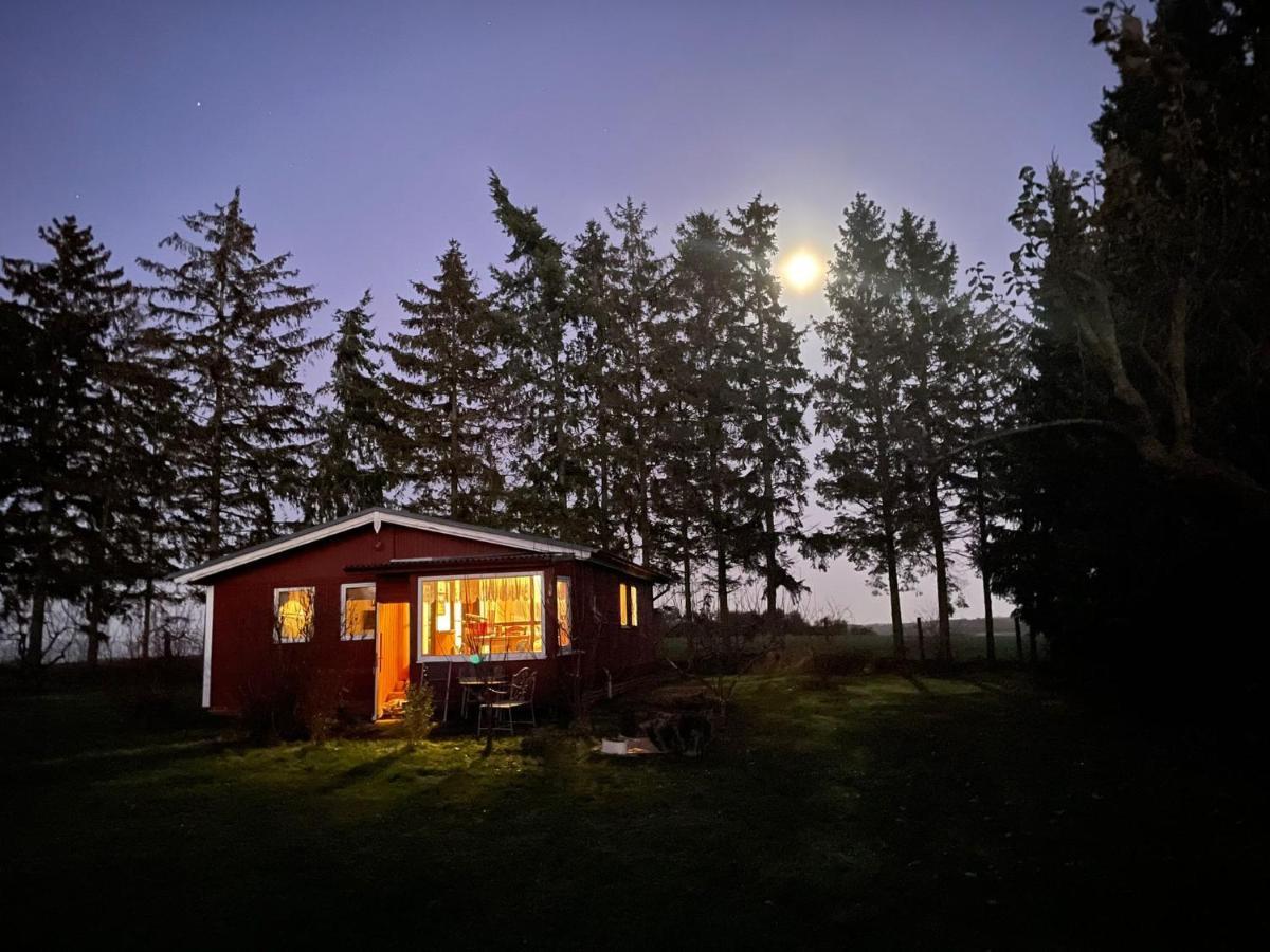 Landhaus Mit Pool, Bungalow In Der Natur Hohenbollentin Exterior photo